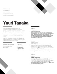 Contemporary Resume - Grey