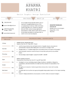 Notre-Dame-Creative-Resume-Template-Orange