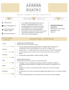 Notre-Dame-Creative-Resume-Template-Yellow