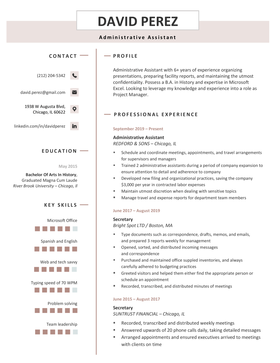 Professional Premium Pink Download Free Professional Resume