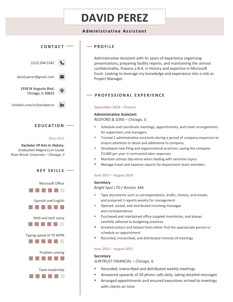 Professional Premium Pink Download Free Professional Resume