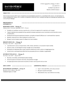 Professional-Resume-Template-Black