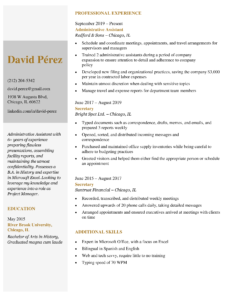 Taj-Mahal-Professional-Resume-Template-Yellow