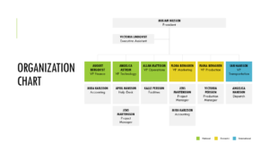 Functional Organization Chart Design PPT Template