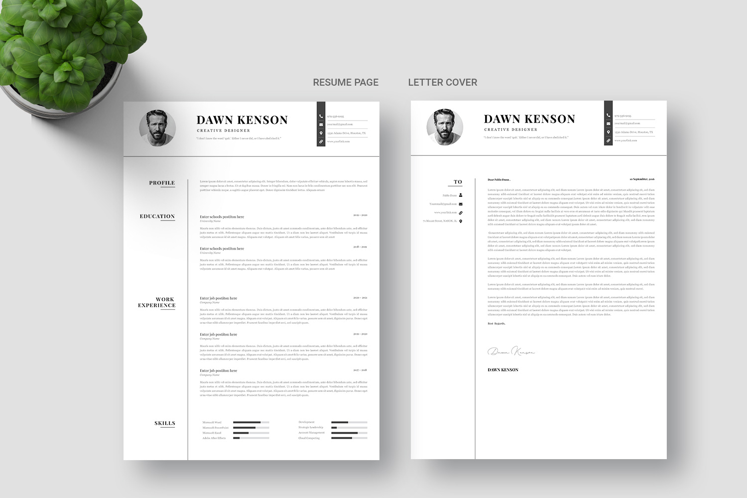 Finance Resume Template