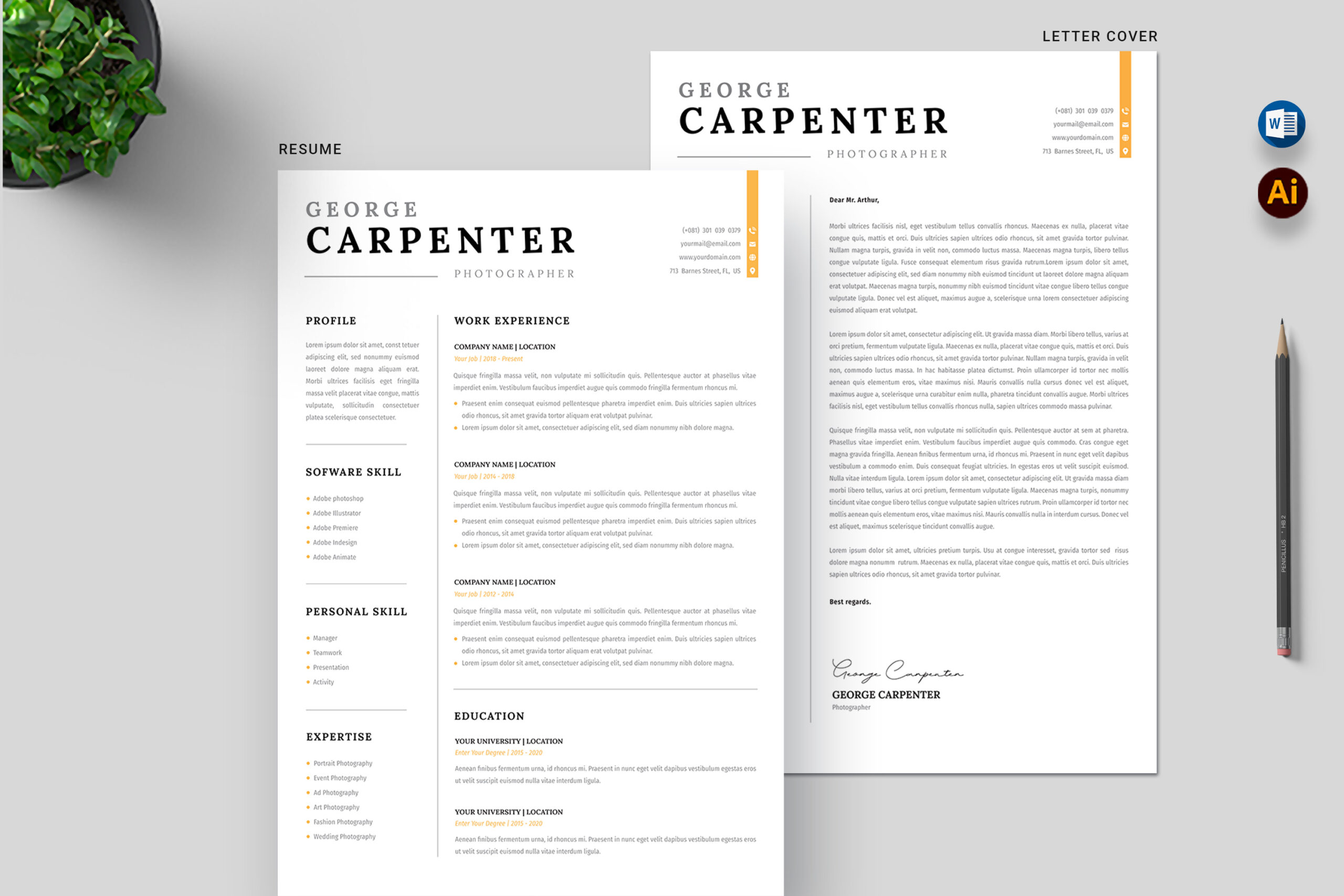 Resume chartered accountant