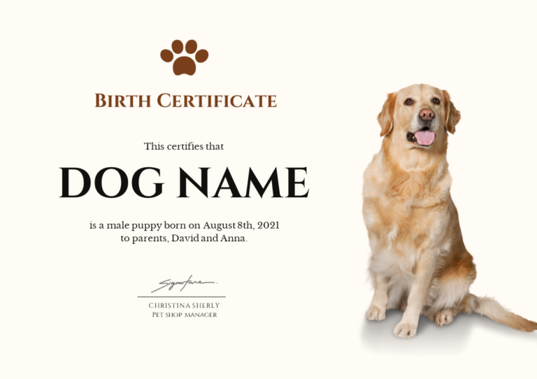 Download Dog Birth Certificate Brain Powerpoint Infographic Template